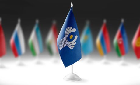 По центру флаг СНГ а вокруг флаги стран входящих в содружество